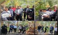 با حضور رئیس سازمان جهاد کشاورزی استان کرمان از طرح های کشاورزی شهرستان نرماشیر بازدید شد.